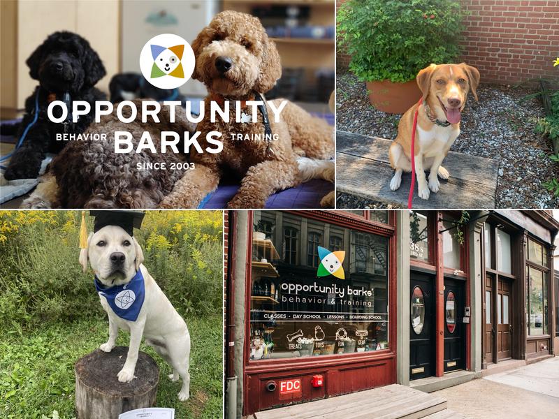 Opportunity Barks Behavior & Training