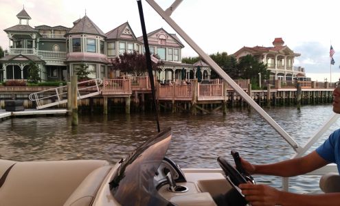 Devil Dog Training LLC