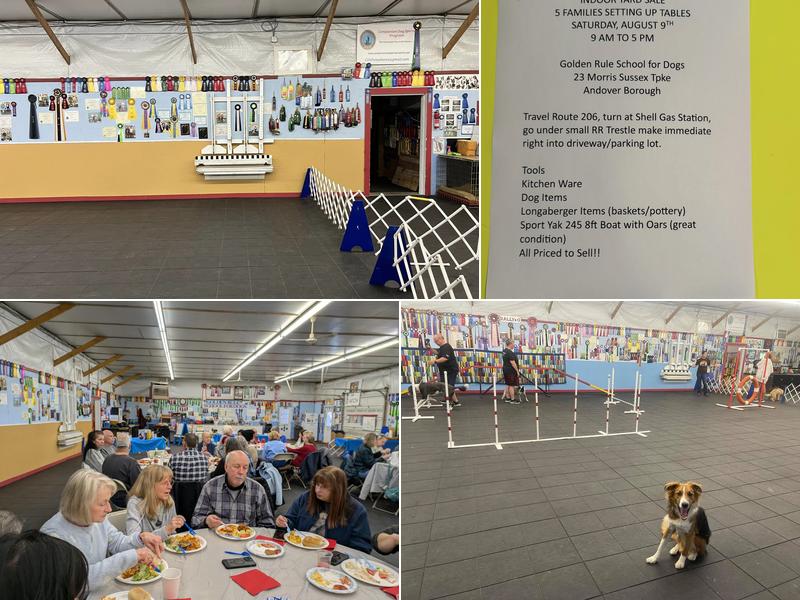 Golden Rule School For Dogs