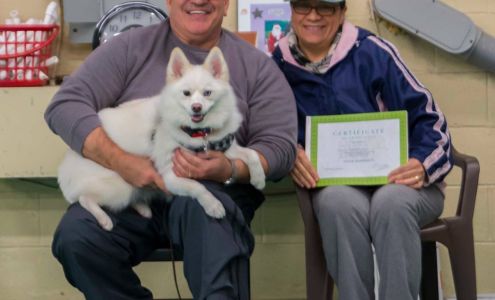 Let's Speak Dog, Ltd-Palmer