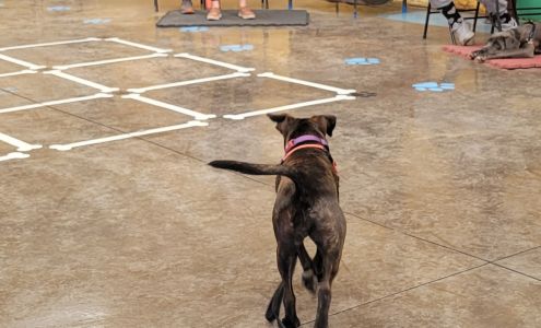 April's K911 Academy