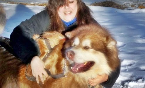 Enchanted Dreams Alaskan Malamutes Smyrna