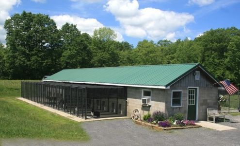 Weston Boarding Kennel 133 Co Rd 412, Westerlo New York 12193