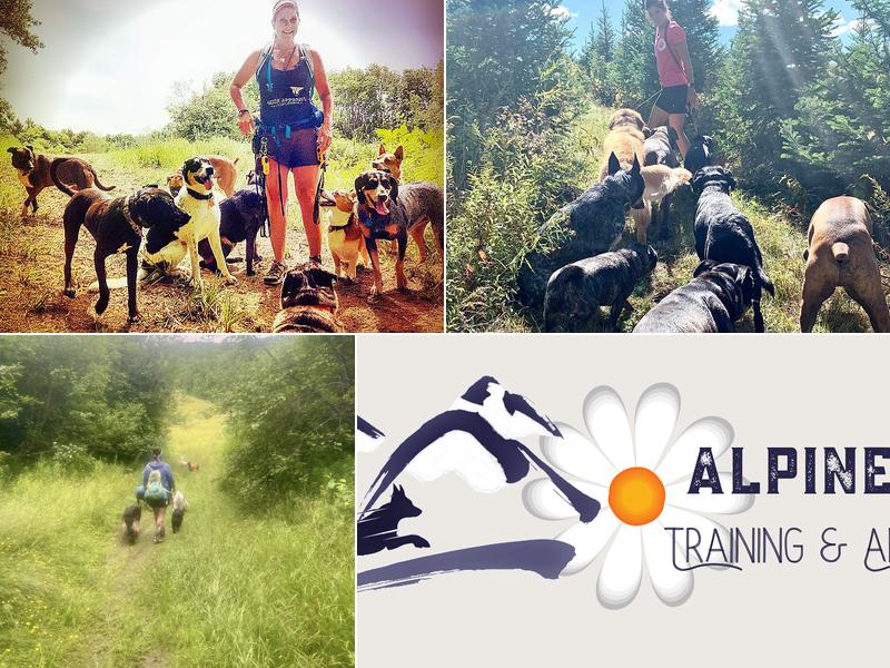 Alpine Dog VT, Nancy Poitras