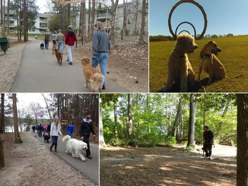 Topline K9 Solutions