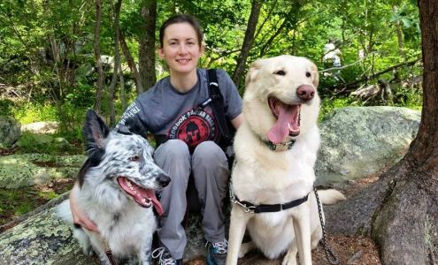 Always Pawsitive Dog Training