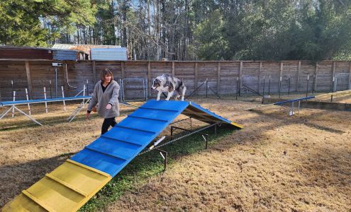 Canine Obedience Training at Hunt Club