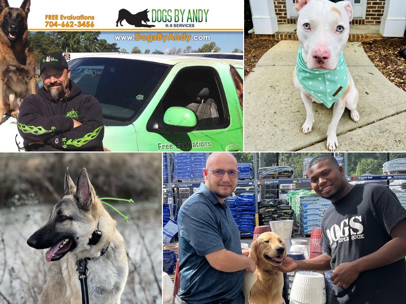 Dogs By Andy K-9 Services