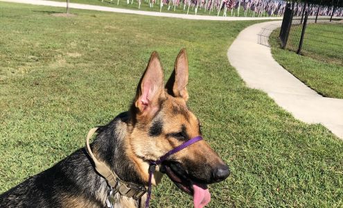 Top Dog Academy, Inc.