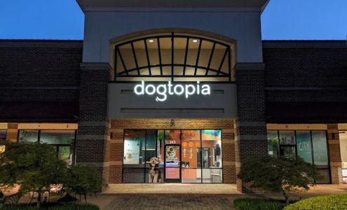 Dogtopia of Harrison Ave