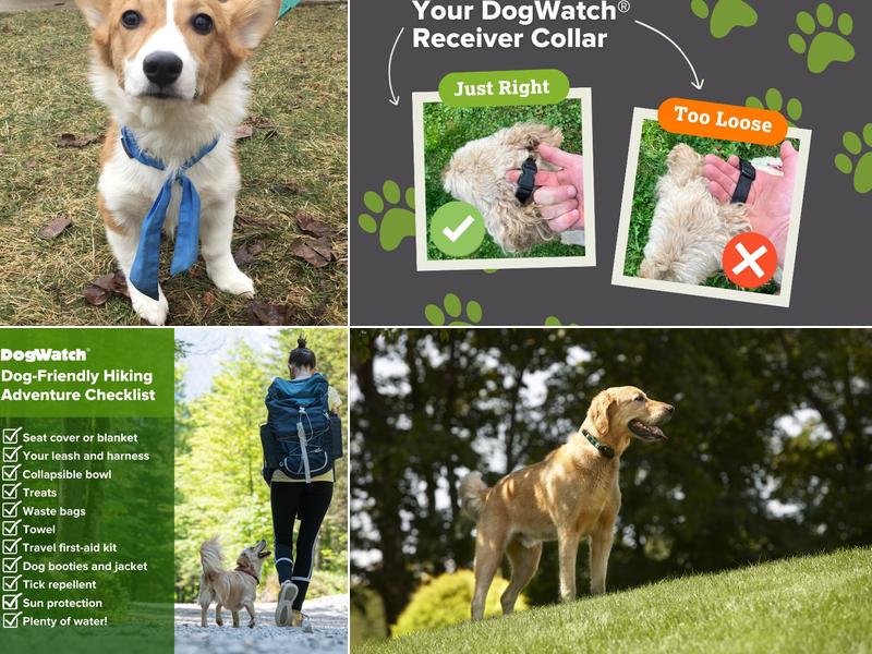 DogWatch of Greater Pittsburgh