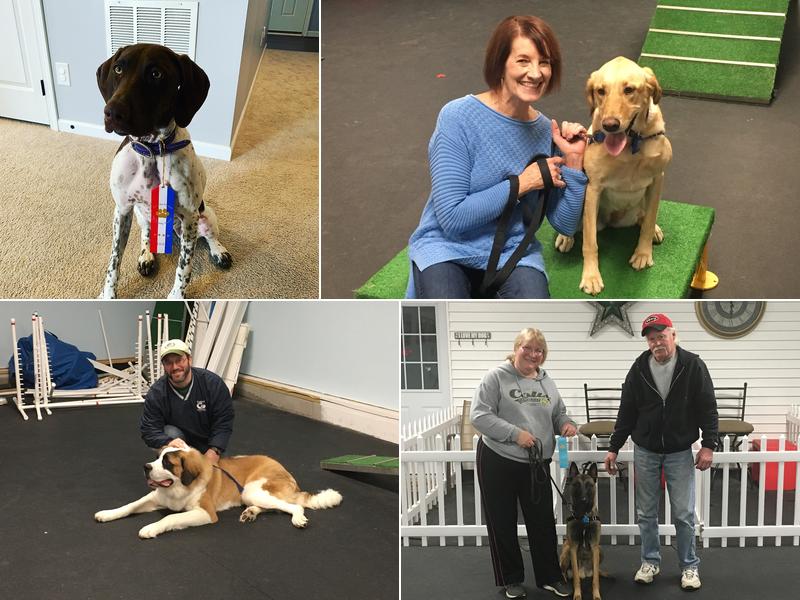 Best Paws Forward Dog Training Academy