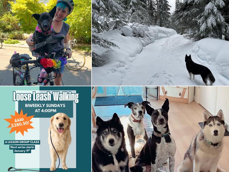 Noble Woof Dog Training PDX