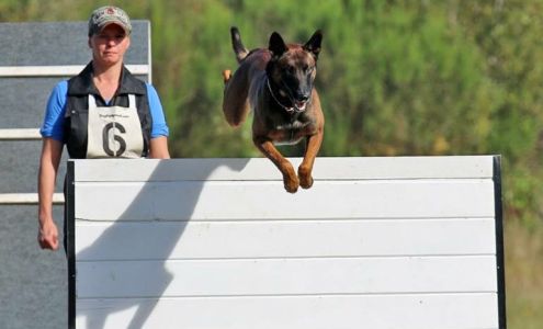 Deschutes K9 Training Solutions LLC