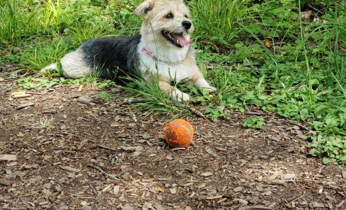 Critter Nanny Ltd Mulino