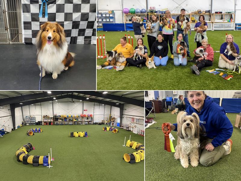 Splash 'n Dash K9 Sports, Inc