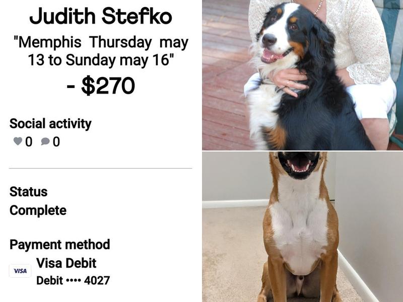 Aunt Penny’s Pet Services