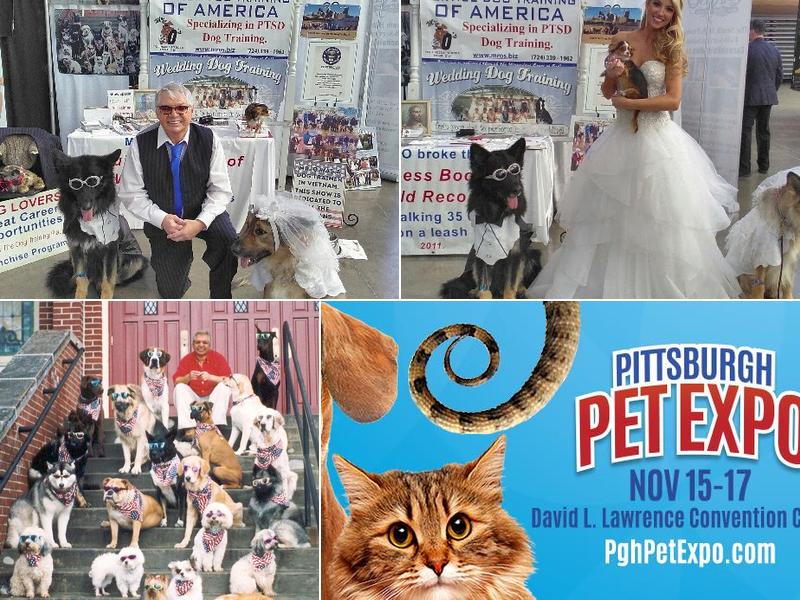 Mr O's The Dog Training Place