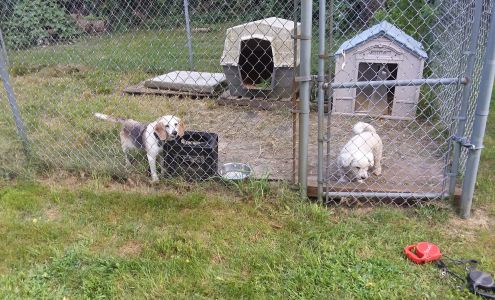 Hammond Hilton Inn for Pets Saunderstown