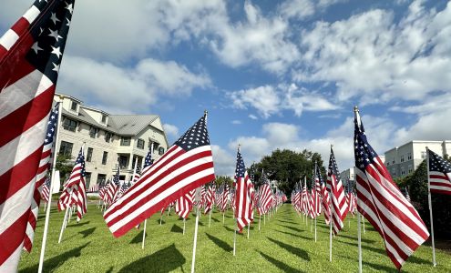 Animal Dental Services 985 Johnnie Dodds Blvd, Mt Pleasant South Carolina 29464