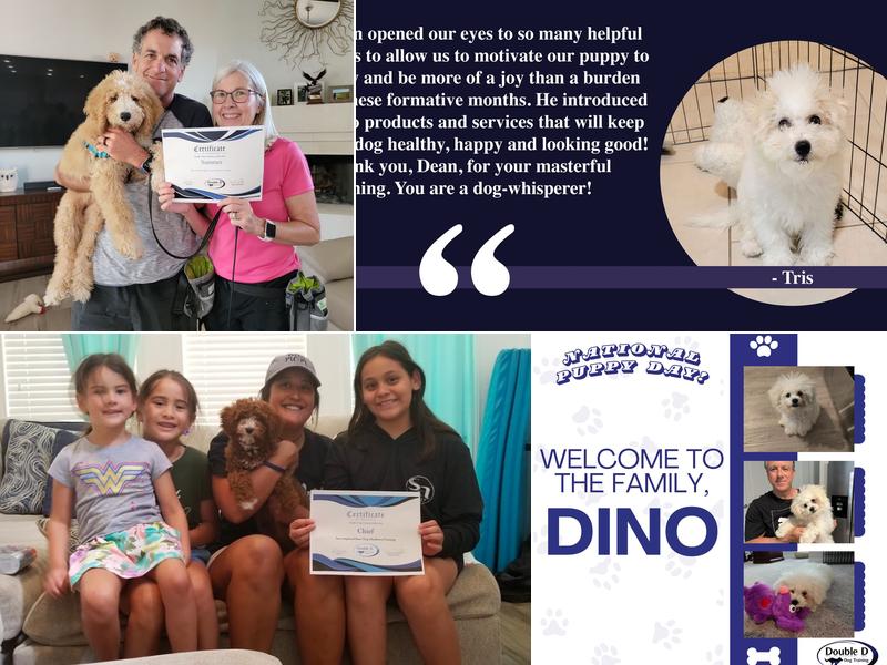 Double D Dog Training