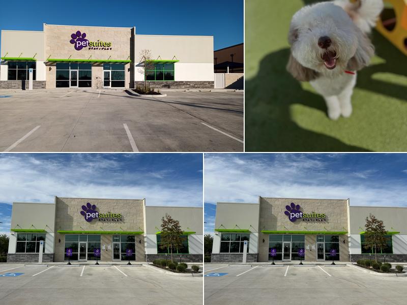 PetSuites Sugar Land