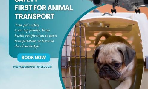 World Pet Travel