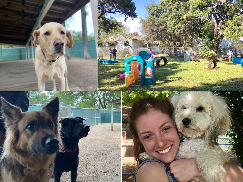 Pups & Pals Pet Lounge - Oak Hill