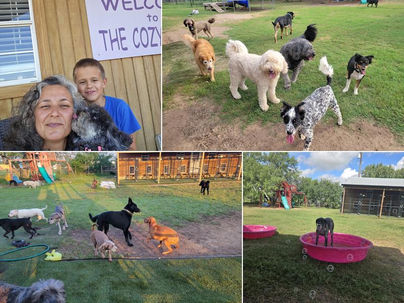 Alex's Pet Sitting and Boarding