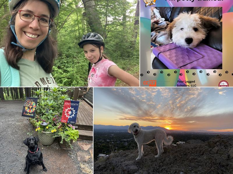 Four Legged Scholars LLC