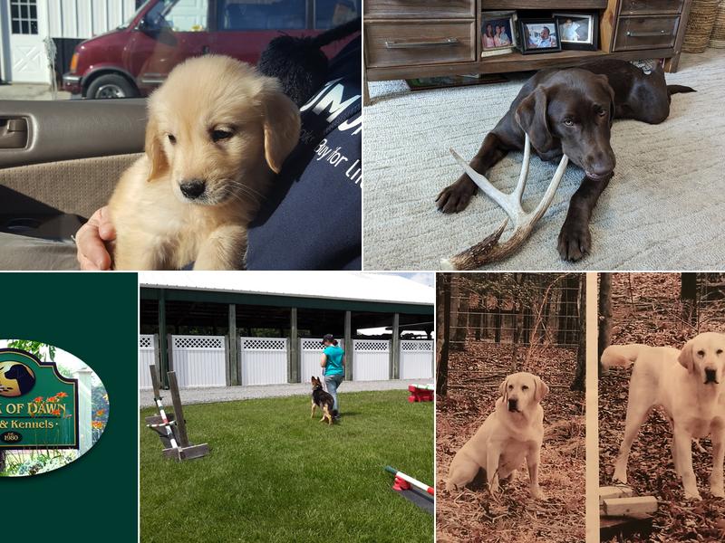 Break Of Dawn Farm and Kennels