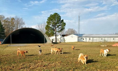 K-9 Divine 2240 Liverpool Point Rd, Nanjemoy Maryland 20662