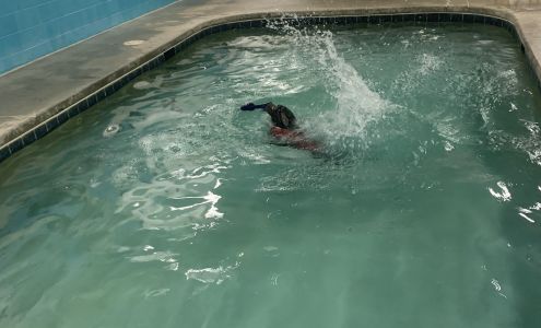 Paws To Swim Rockville