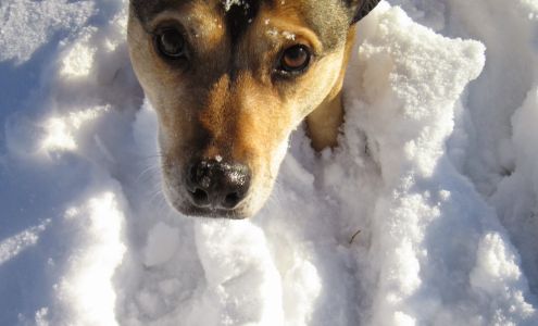 Westward Hound 21291 Howard Ave NE, Kingston Washington 98346