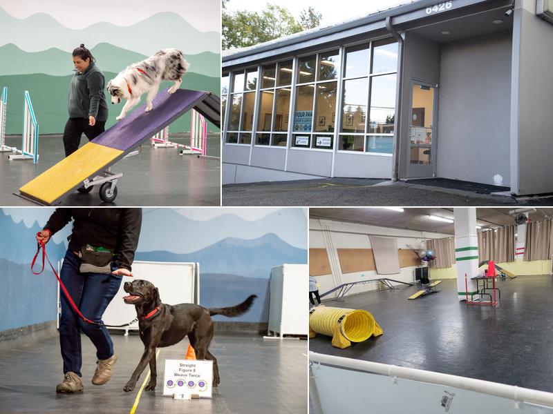 Four Paw Sports Center