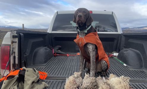 Cooke Canyon Hunt Club