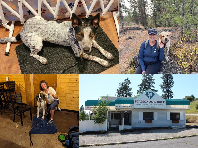 Diamonds In the Ruff