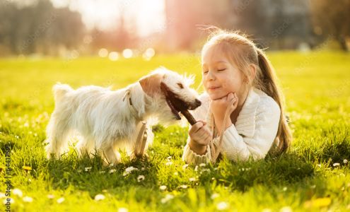 Kelley's K-9 camp LLC 290 Hiland Rd, Tieton Washington 98947