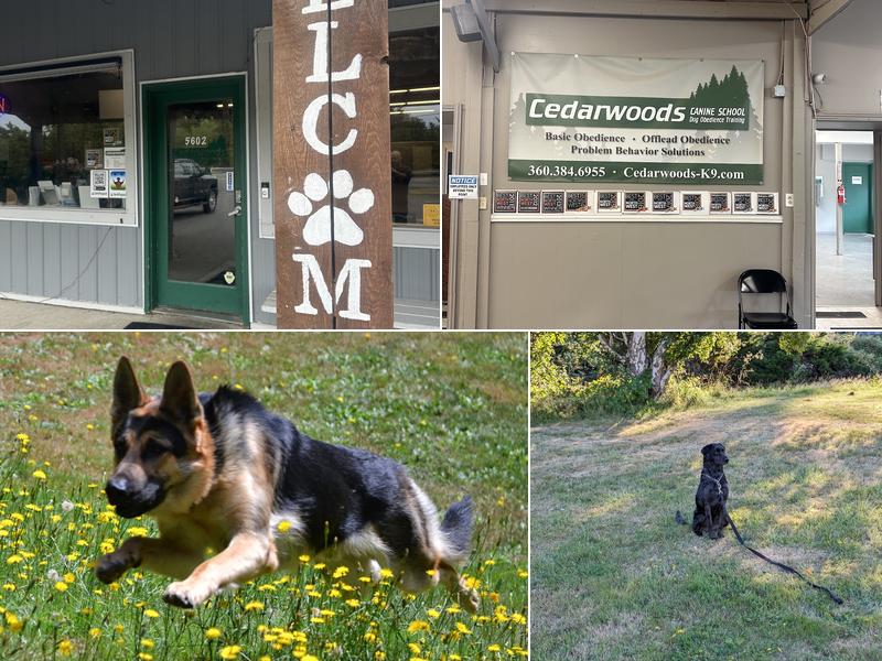 Cedarwoods Canine School