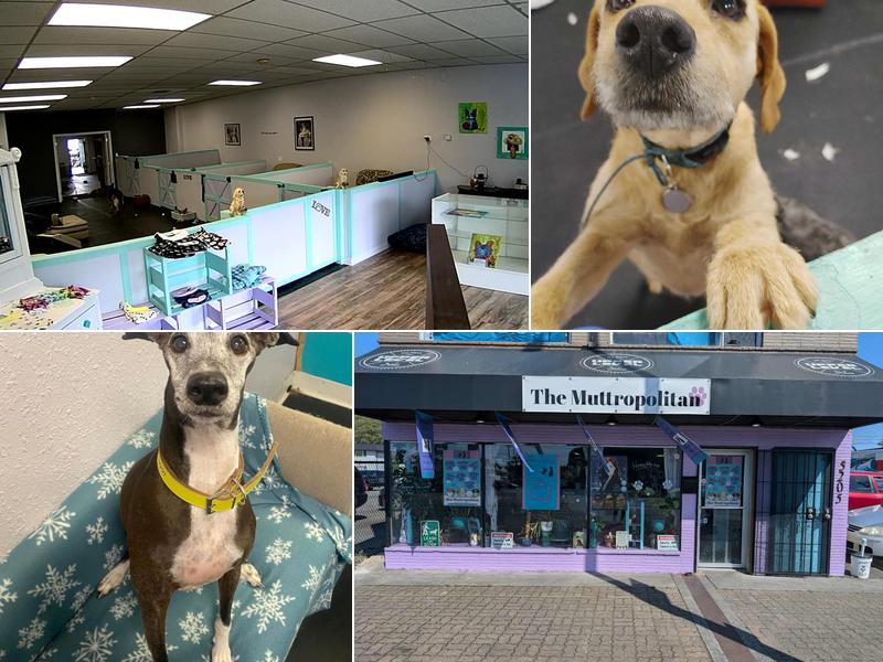 Leash The Muttro Pups (The Muttropolitan)