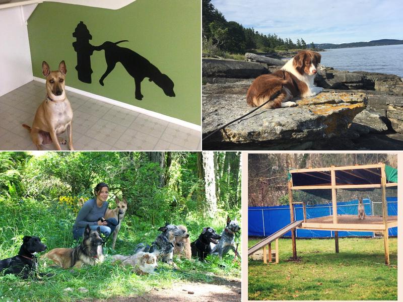 Barks and Recreation Canine Services