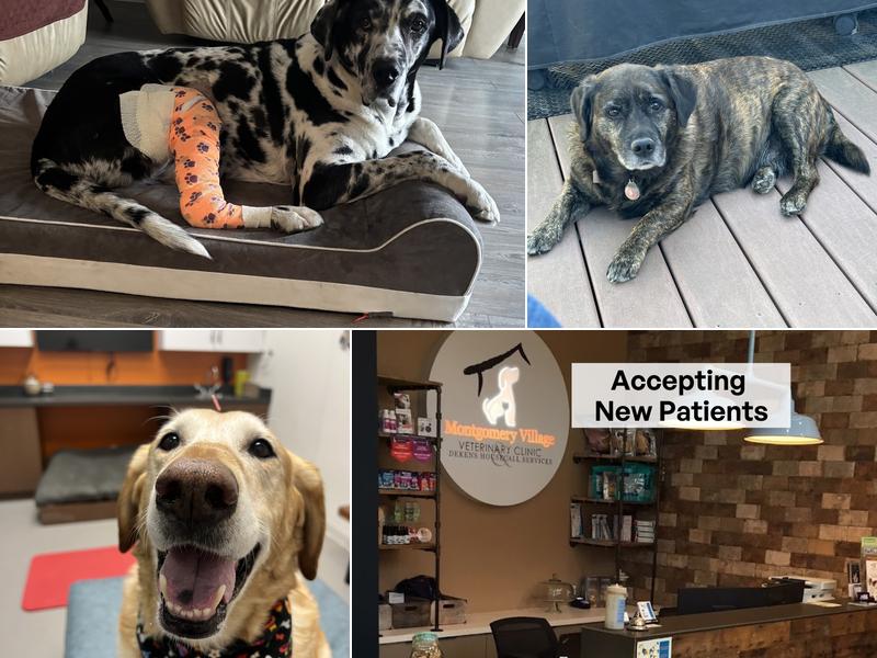 Montgomery Village Veterinary Clinic