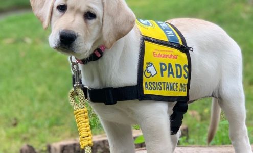Pacific Assistance Dogs