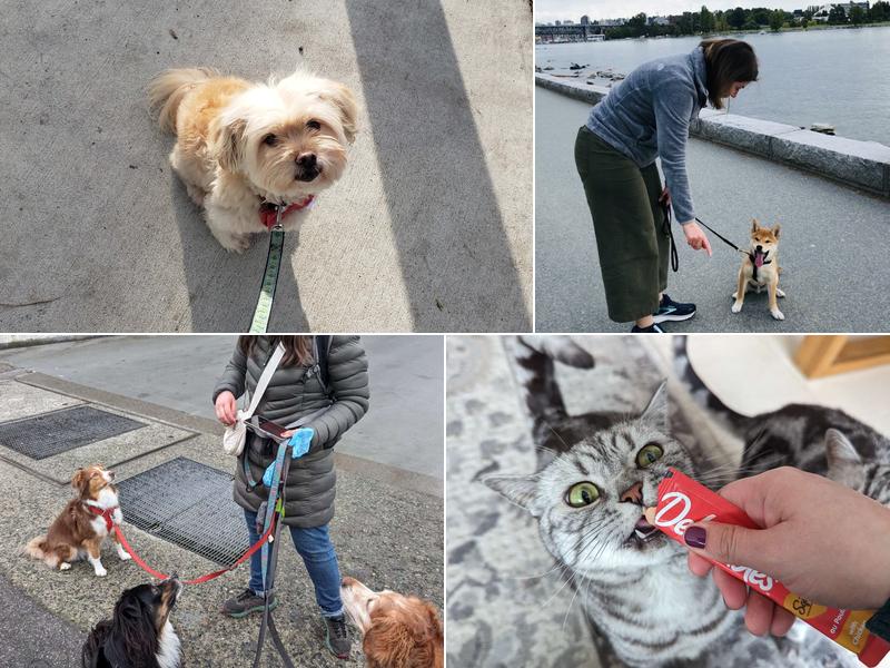 Woof & Purr Pet Services