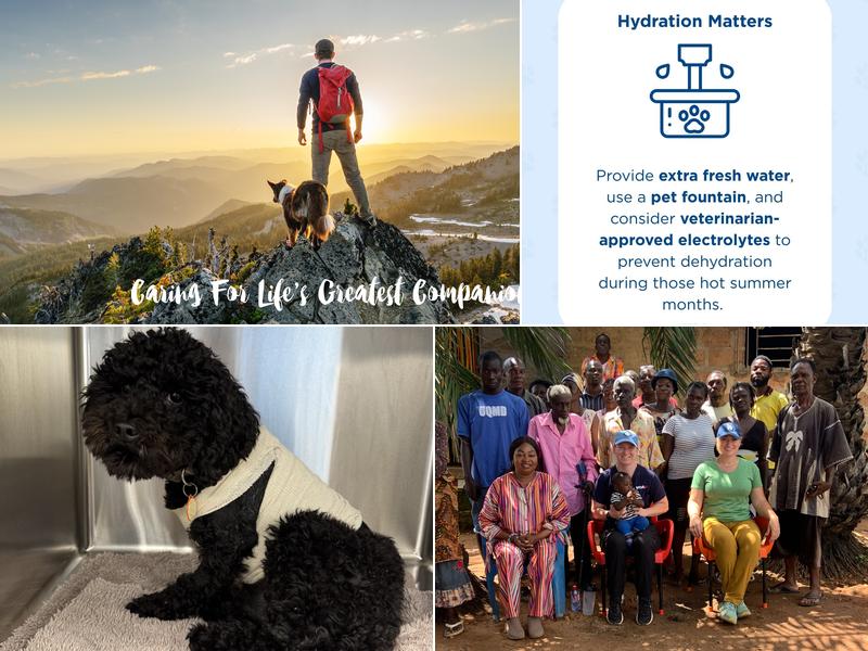 VCA Canada Vancouver Animal Emergency and Referral Centre