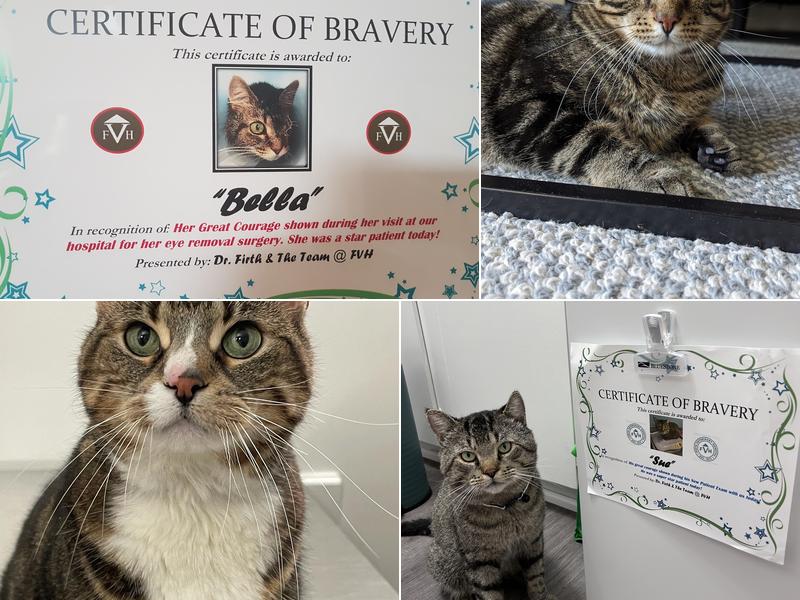 Firth Veterinary Hospital