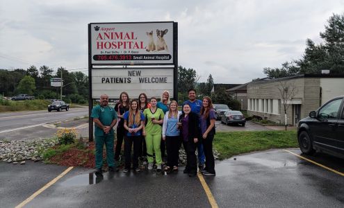 Airport Animal Hospital