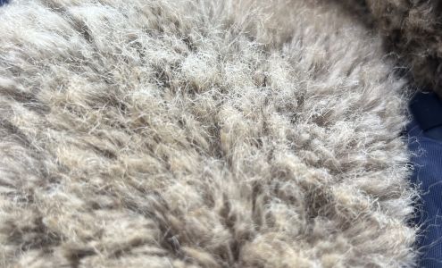 Fashion Cleaners-Fayetteville