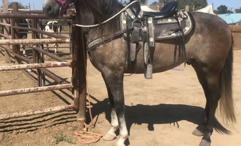 First Impression Fencing & Automatic Gates