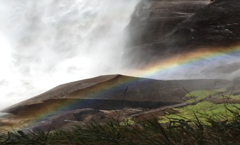 Pacific Heights Cleaners / Environmentally Friendly Dry Cleaning